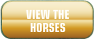 View the Horses Button
